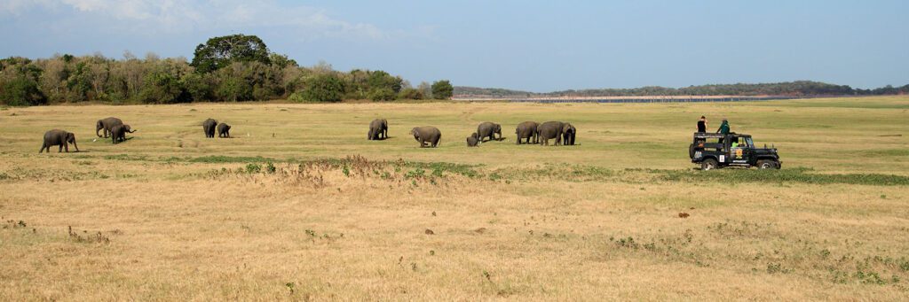 Kaudulla National Park
