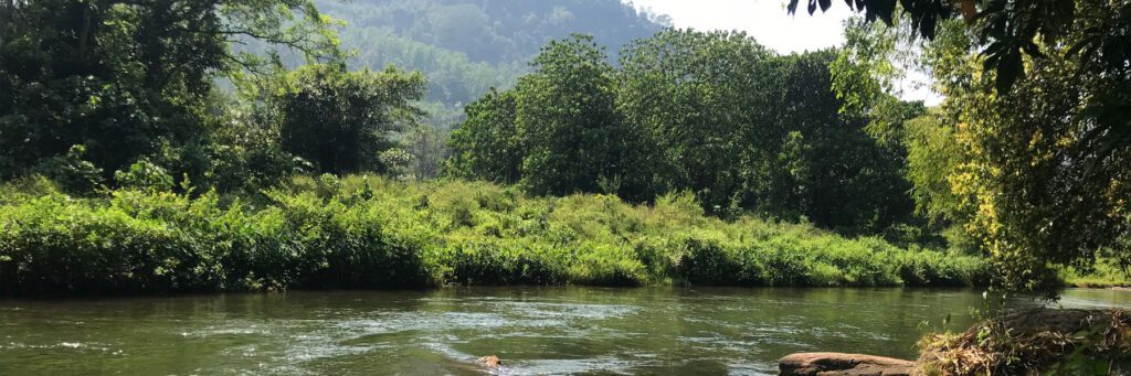 Kitulgala – Kelani Valley Forest Reserve