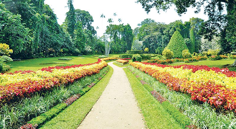 Hakgala Botanical Garden