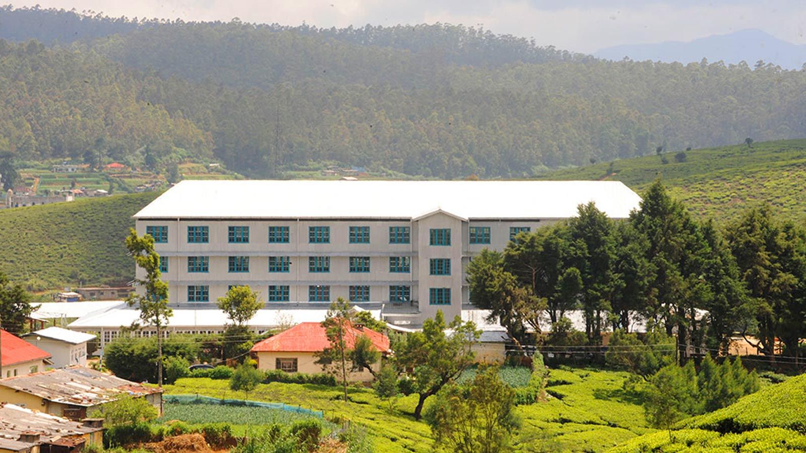 Tea Factories & Estates