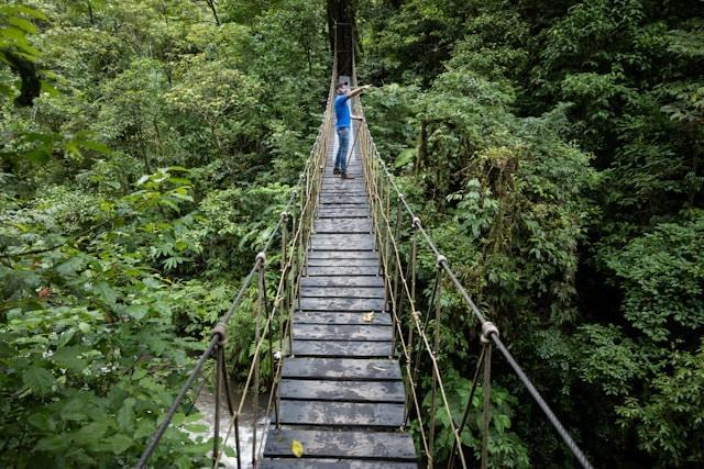 Eco Tourism